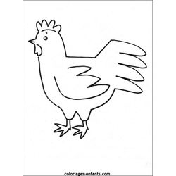 Gallo #4216