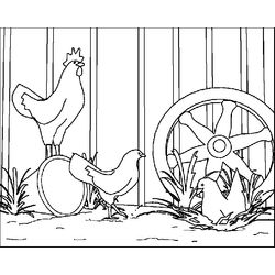 Gallo #4225