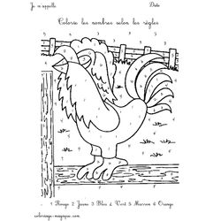 Gallo #4226