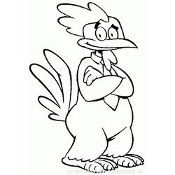 Gallo #4227
