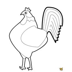 Gallo #4228