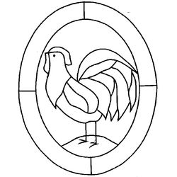 Gallo #4229