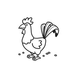 Gallo #4230