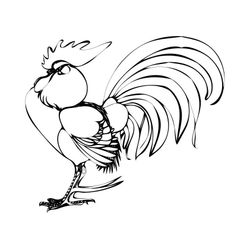 Gallo #4231