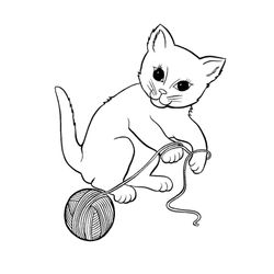Gato #4312