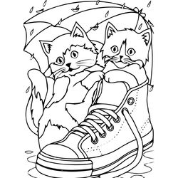 Gato #4313