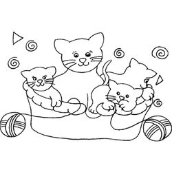 Gato #4321