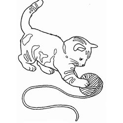 Gato #4322