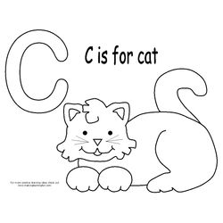 Gato #4335