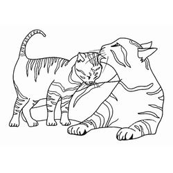 Gato #4337
