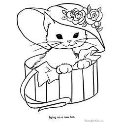 Gato #4339