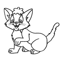 Gato #4344