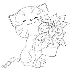 Gato #4348