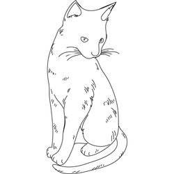 Gato #4356