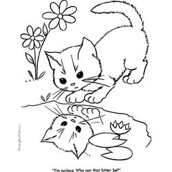 Gato #4359