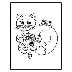 Gato #4362