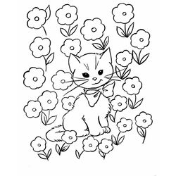 Gato #4366