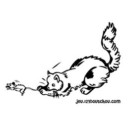 Gato #4368