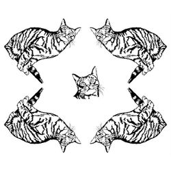 Gato #4370