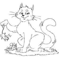 Gato #4385