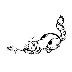 Gato #4393