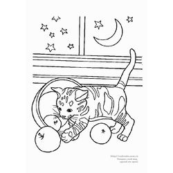 Gato #4395