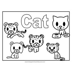Gato #4403