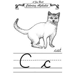 Gato #4405
