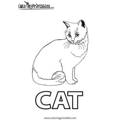 Gato #4406