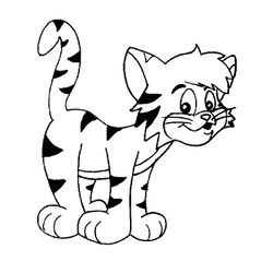 Gato #4409