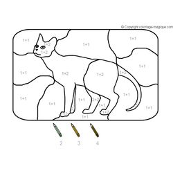 Gato #4411