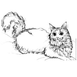 Gato #4420