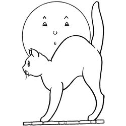 Gato #4421