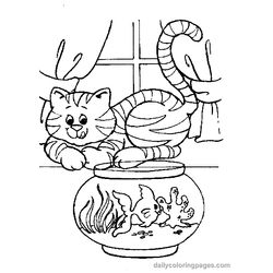 Gato #4422