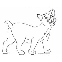 Gato #4427