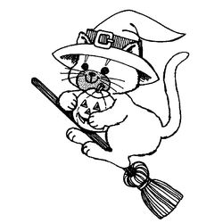 Gato #4430