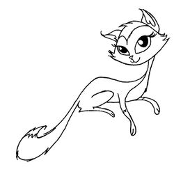Gato #4437