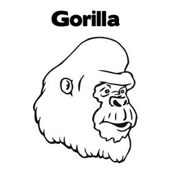 Gorila #4461