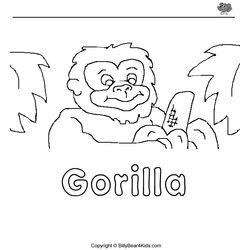 Gorila #4510