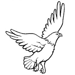 Halcón