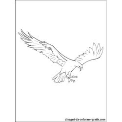 Halcón #4562