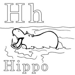 Hipopótamo #4738
