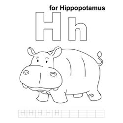 Hipopótamo #4761