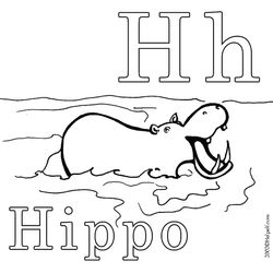 Hipopótamo #4794