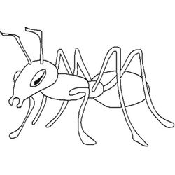 Hormiga #4831