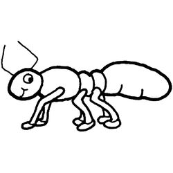 Hormiga #4834