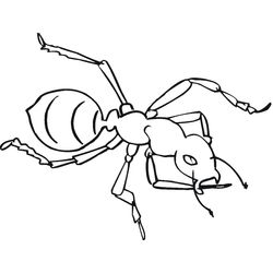 Hormiga #4836