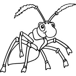 Hormiga #4852