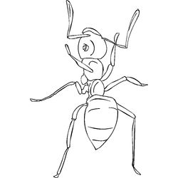 Hormiga #4871