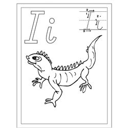 Iguana #5085